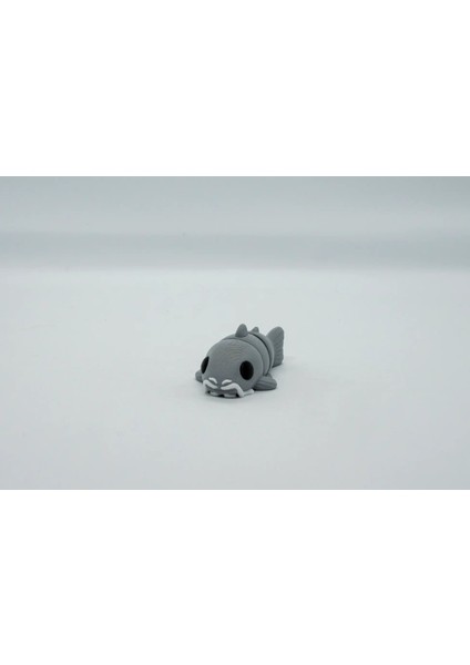 Kedibalığı 3D Hareketli Model