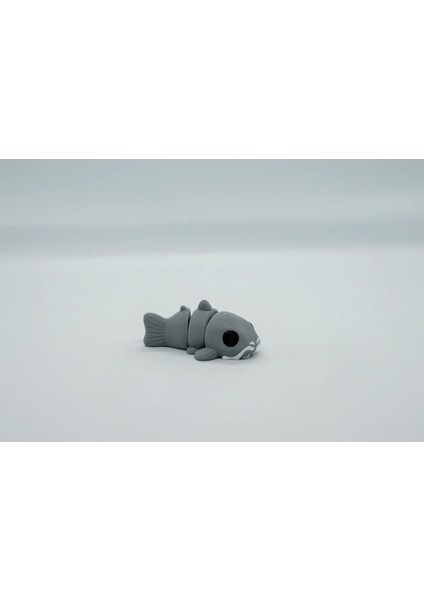Kedibalığı 3D Hareketli Model