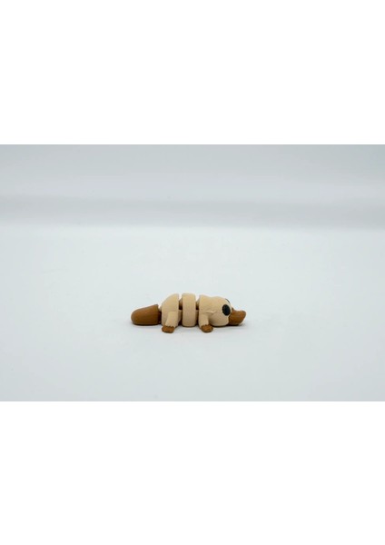 Ornitorenk 3D Hareketli Model modelleri