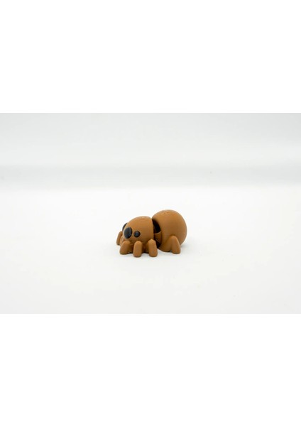 Örümcek 3D Hareketli Model