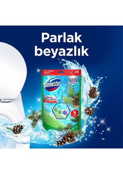 Tuvalet Bloğu Çam Ormanı 5'li Güç 2 x 250 gr