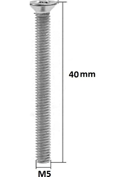 M5X40 mm Yıldız Başlı Vida - 50 Adet