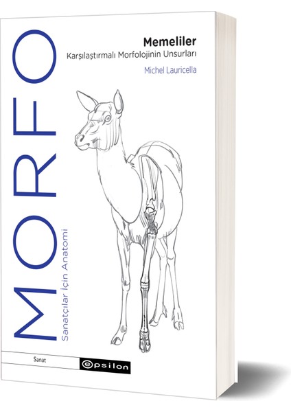 Morfo - Memeliler Karşılaştırmalı Morfolojinin Unsurları - Michel Lauricella