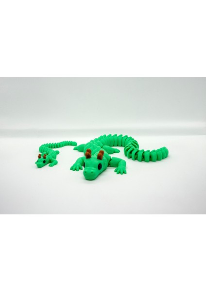 Dragon 3D Hareketli Model Set 2li