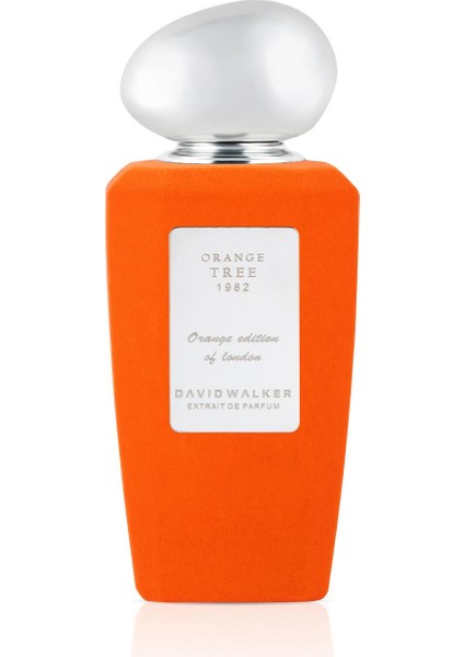 Orange Tree 1982