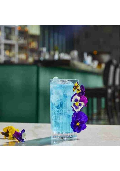 Timeless 6'lı Meşrubat Bardağı Seti 440 ml