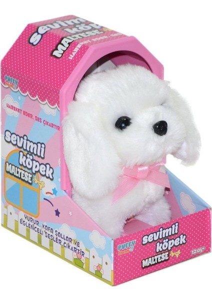 47100 Sevimli Köpek Maltese -Sunman