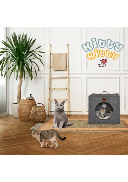 Jungolica Pet Products Kitty, Kutu Şeklinde, Kaydırmaz Tabanlı, Çift Taraflı Çıkarılabilir Minderli, Keçe Kedi Yatağı