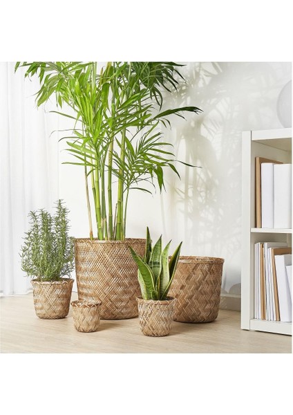 Klynnon Saksı Bambu 9 cm 20523239 indirimleri