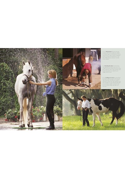 Complate Horse Care Manual