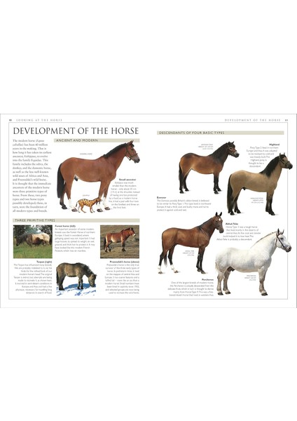 Complate Horse Care Manual