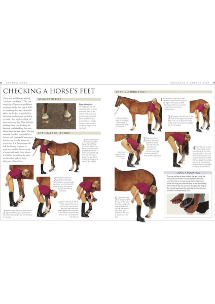 Complate Horse Care Manual