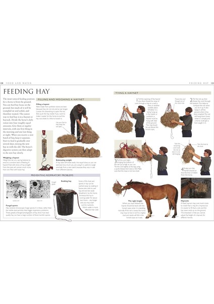 Complate Horse Care Manual