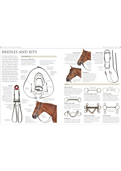 Complate Horse Care Manual