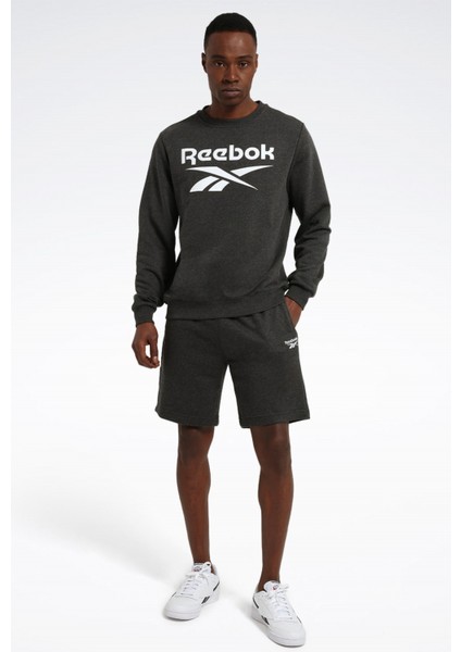 Identıty Bıg Logo Antrasit Erkek Sweatshirt modelleri