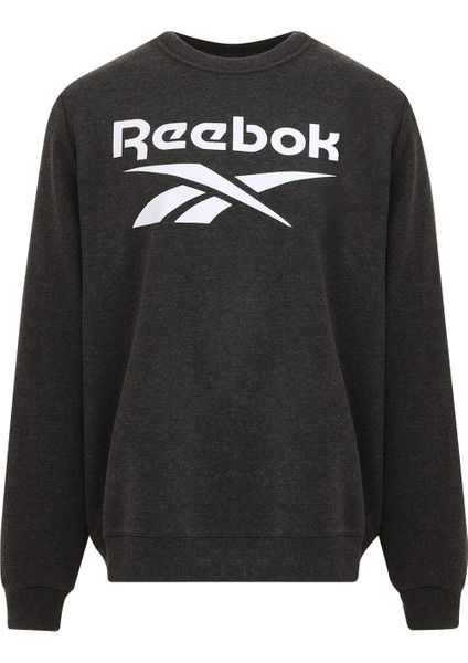 Identıty Bıg Logo Antrasit Erkek Sweatshirt indirimleri