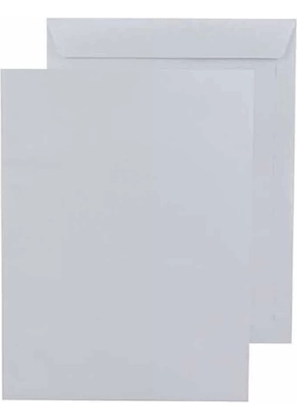 Doğan Torba Zarf 300 x 400 mm 100 Gr Formula E x Pres 25'li