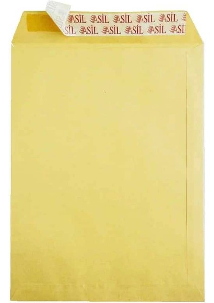 Doğan Torba Zarf 300 x 400 mm 100 Gr Formula E x Pres 25'li fiyatları