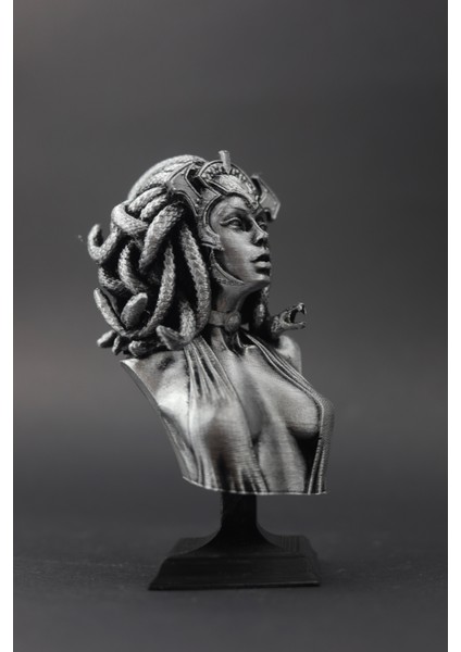 Medusa - Figür / Büst fiyatları