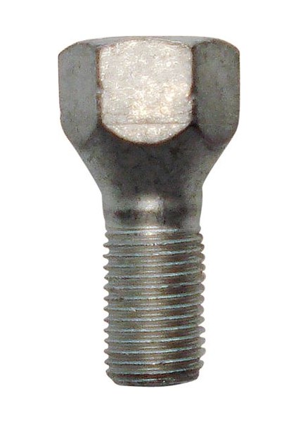 Bijon 2984 Palıo Bijon Saplaması