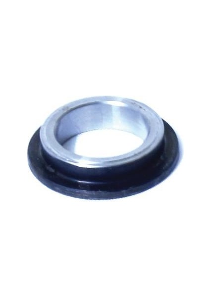 5569 Albea Aks Yüzüğü