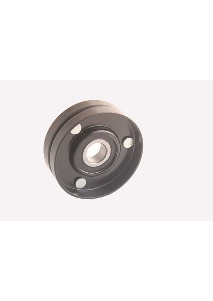 21104 Laguna 00> 16V Alternatör V Kayıs Gergı Rulmanı