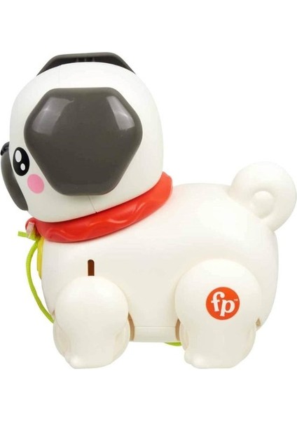 Fisher-Price Minik Dostumla Yürüyüş modelleri