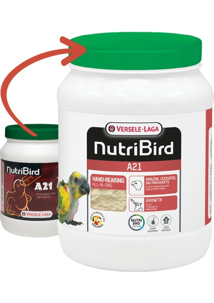 Nutrıbırd A21 Elle Yetiştirme Maması 800G 13