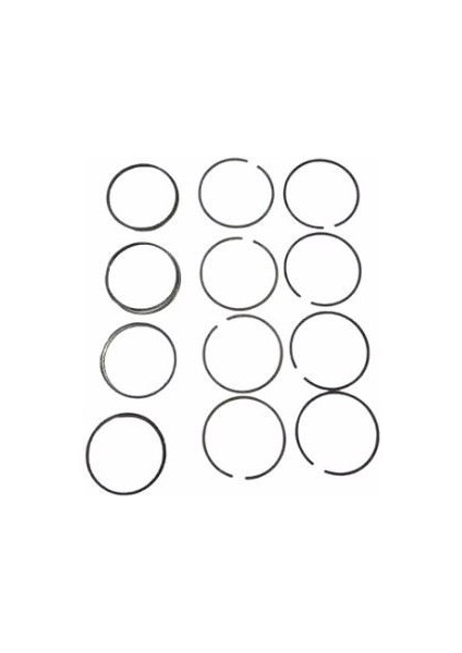 5896112 Palıo 1.6 Sekman 0.40