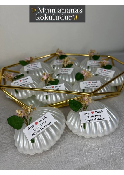 10 Adet Istiridye Mum