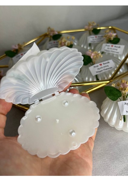 10 Adet Istiridye Mum modelleri