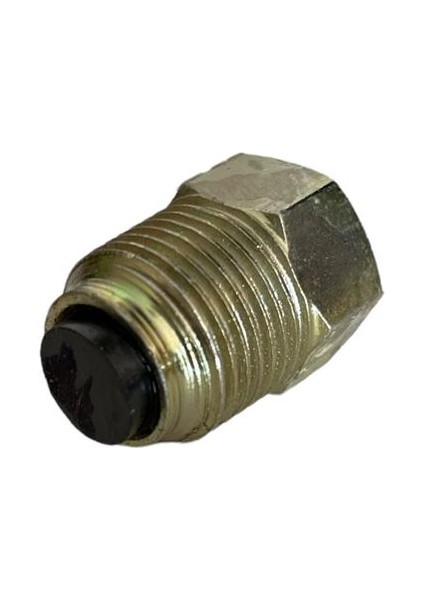 3826 R12 Şanzıman Tapası