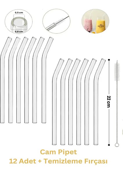 12'li Şeffaf Cam Pipet ve Temizleme Fırçası Seti 20 cm Uzunlukta Dayanıklı Kullanım İçin