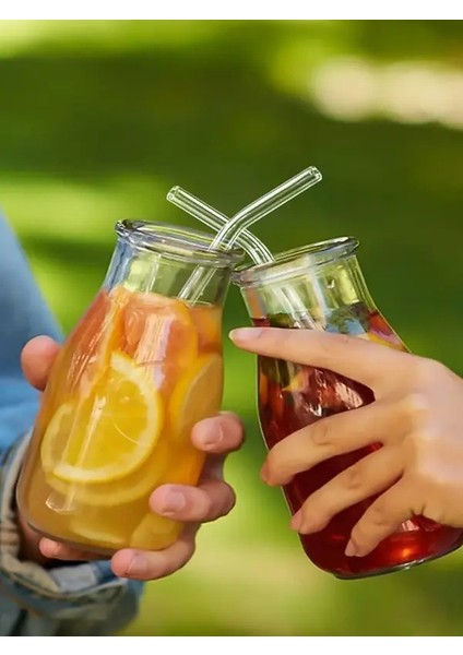 12'li Şeffaf Cam Pipet ve Temizleme Fırçası Seti 20 cm Uzunlukta Dayanıklı Kullanım İçin modelleri