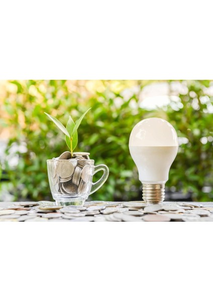 13W (100W) E27 LED Ampul 6500K Beyaz - 3 Adet