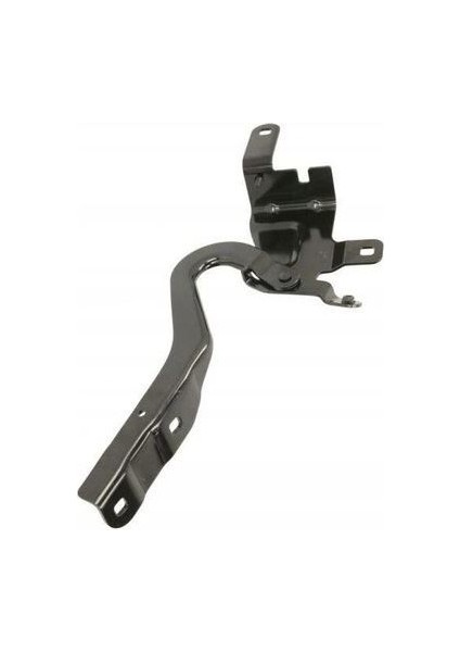 25850 Clıo Iv Hb Kaput Menteşesi Sağ