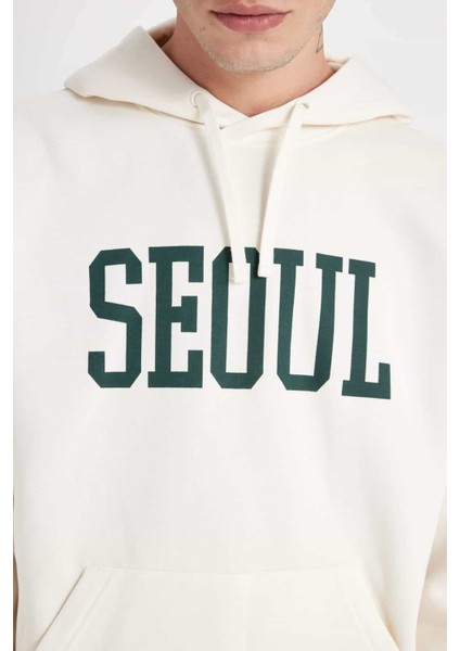 Boxy Fit Kapüşonlu Cepli Baskılı Sweatshirt D1780AX24WN