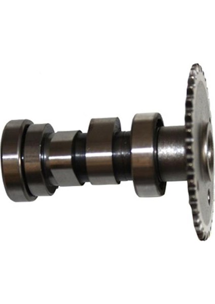 Mondial Mash Zat Eksantrik Mili