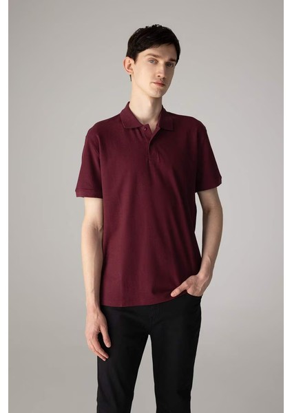 New Regular Fit Kısa Kollu Polo Tişört Bordo