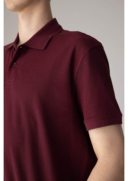 New Regular Fit Kısa Kollu Polo Tişört Bordo