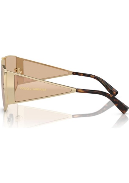 0DG2305 13655A 44 Unisex Güneş Gözlüğü modelleri