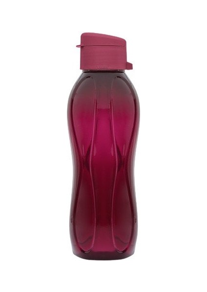 750 ml Bordo Matara Suluk Çocuk Okul Spor Su Sişesi