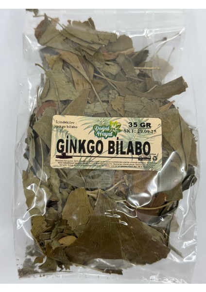 Ginkgo Bilabo