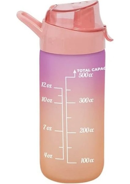 500 ml Cam Motivasyon Matarası Suluk Su Sişesi