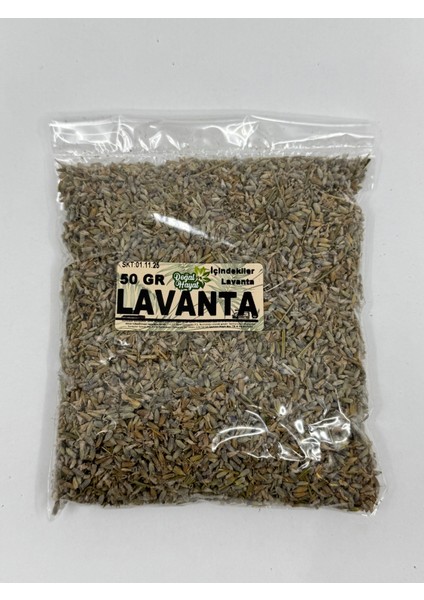 Lavanta