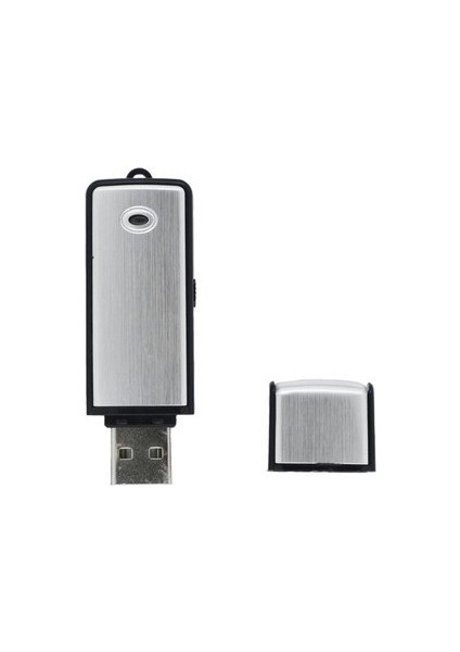 Gümüş USB Flash Bellek 32 gb Ses Kayıt Cihazı