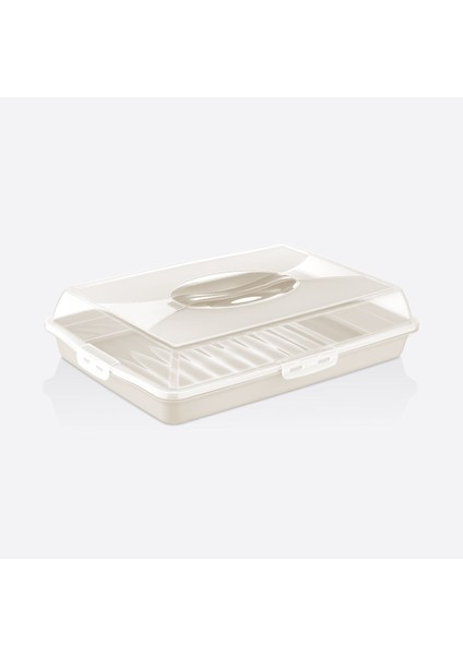 Dikdörtgen Kilitli Pasta Börek Tatlı Borcam Taşıma ve Saklama Kabı