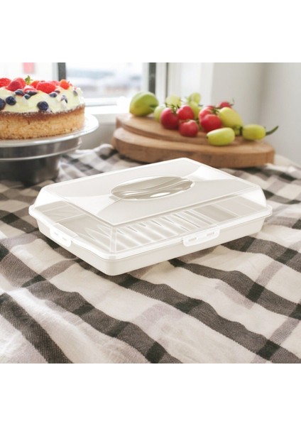 Dikdörtgen Kilitli Pasta Börek Tatlı Borcam Taşıma ve Saklama Kabı fiyatları