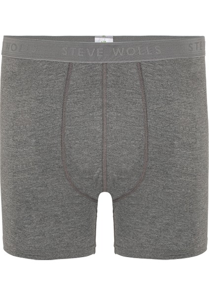 Erkek Gri 3’lü Uzun Paça Bambu Boxer - 25201 fiyatları