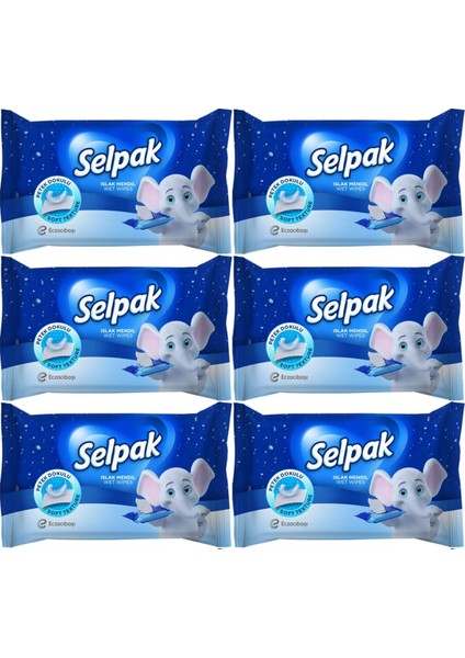 Islak Cep Mendil 10 Yaprak Klasik (6 Lı Set)